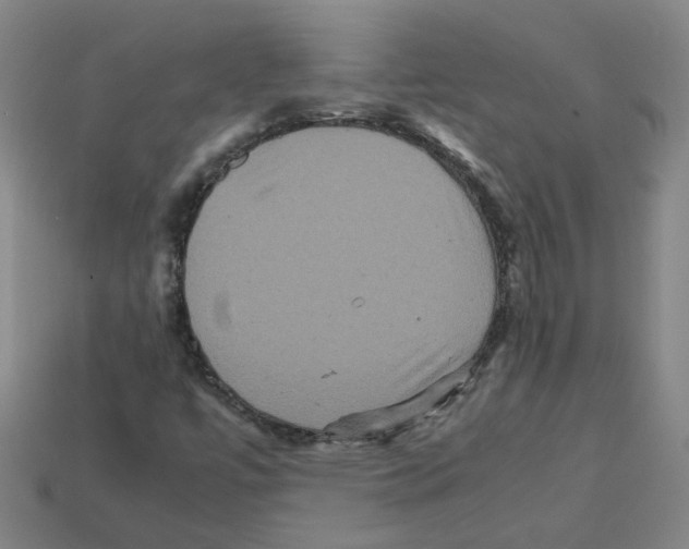 X0000111901447200909071126