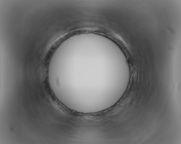 X0000111901448200909071126