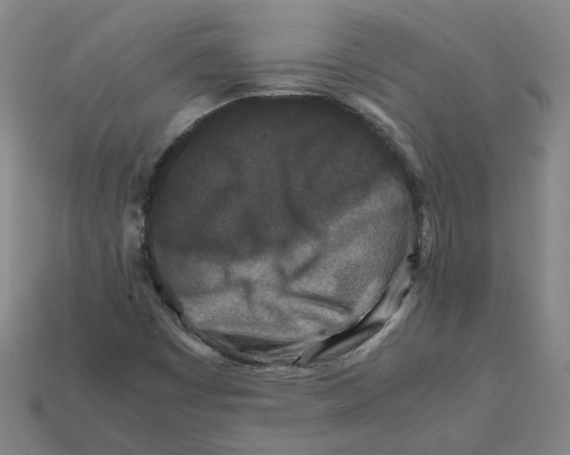 X0000111901449200909071126