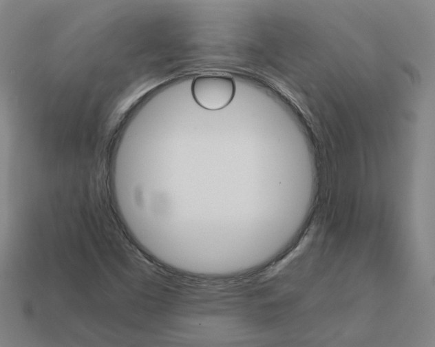 X0000111901453200909071126