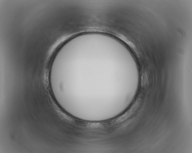 X0000111901454200909071126