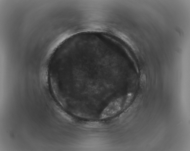 X0000111901455200909071126