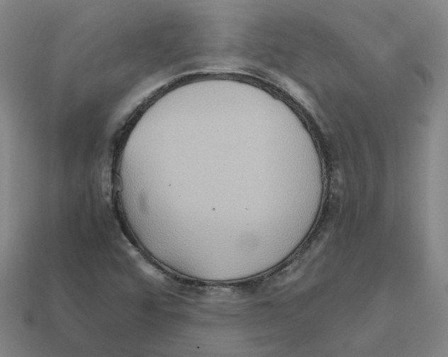 X0000111901456200909071126