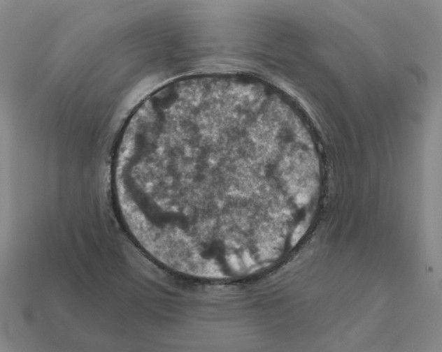 X0000111901459200909071126