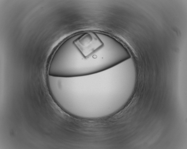 X0000111901460200909071126