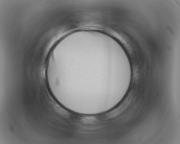 X0000111901462200909071126