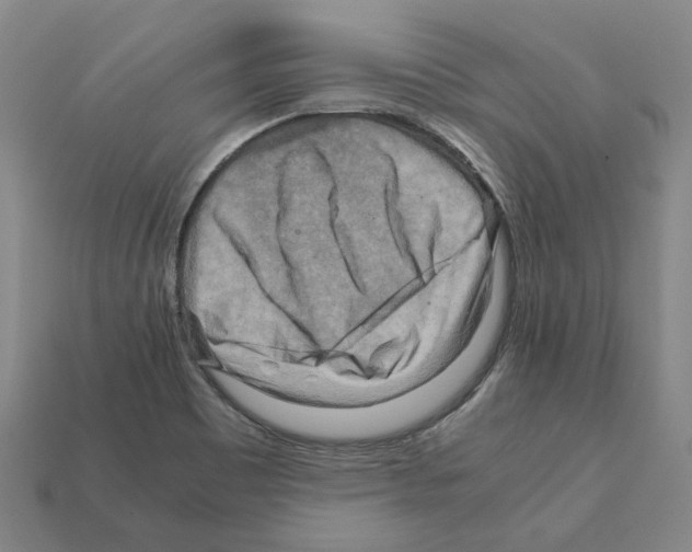 X0000111901465200909071126