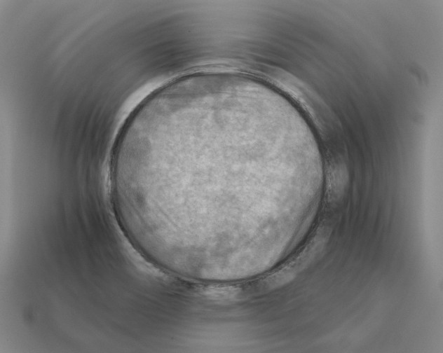 X0000111901466200909071126