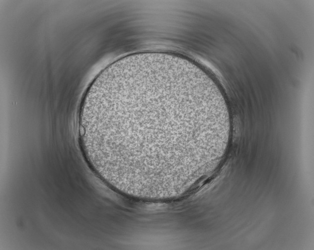 X0000111901467200909071126