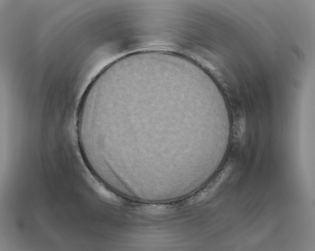 X0000111901470200909071126