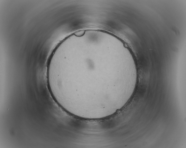 X0000111901472200909071126