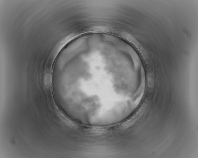 X0000111901473200909071126