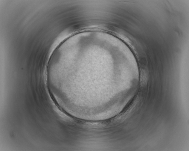 X0000111901474200909071126