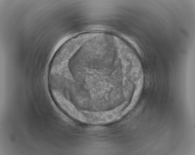 X0000111901475200909071126