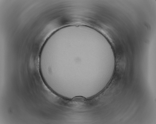 X0000111901476200909071126