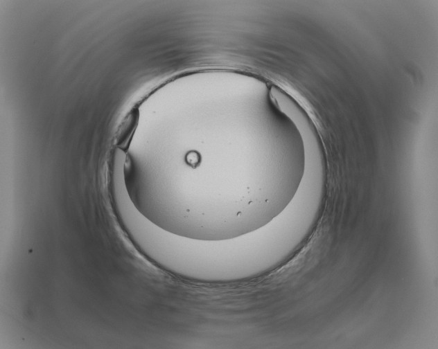 X0000111901477200909071126