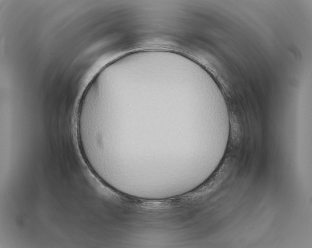 X0000111901478200909071126