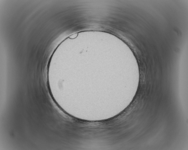 X0000111901479200909071126