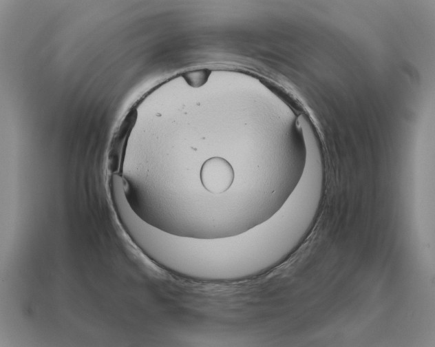 X0000111901480200909071126