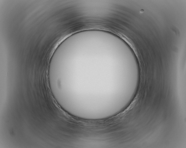 X0000111901481200909071126