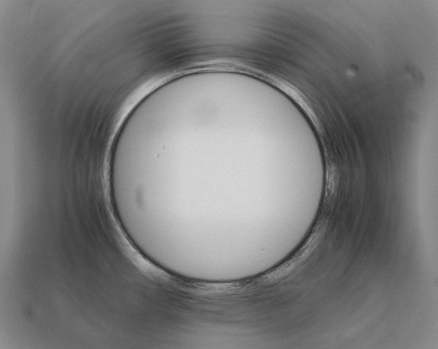 X0000111901482200909071126