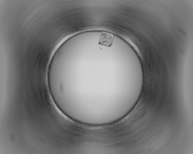 X0000111901484200909071126