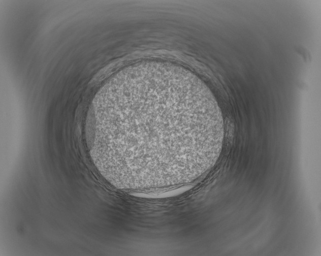 X0000111901489200909071125