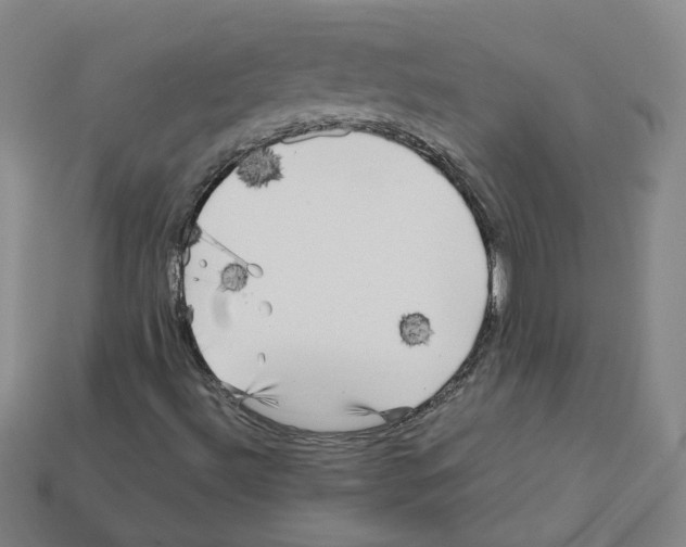 X0000111901492200909071125