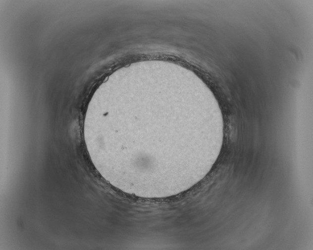 X0000111901493200909071125