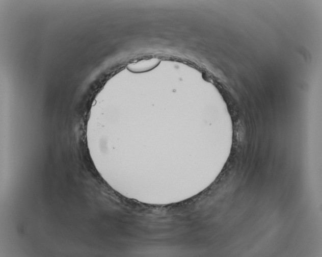 X0000111901495200909071125