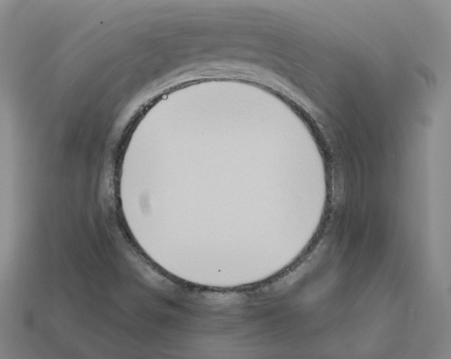 X0000111901498200909071125