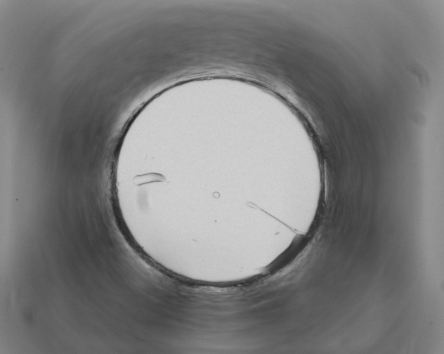 X0000111901500200909071125