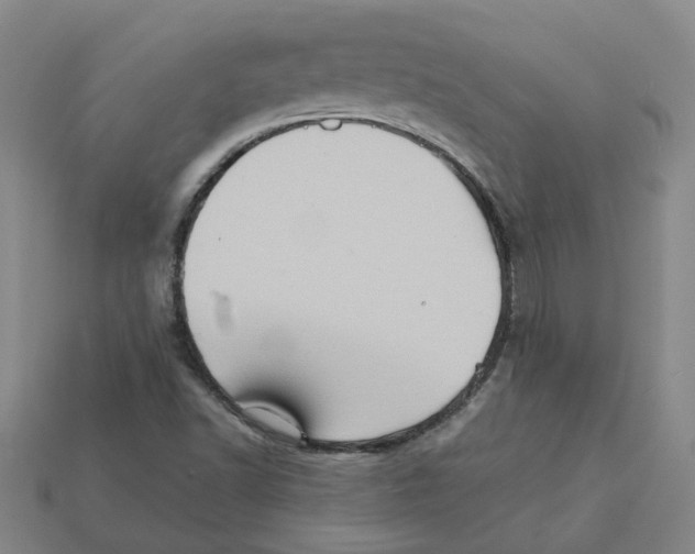 X0000111901502200909071125