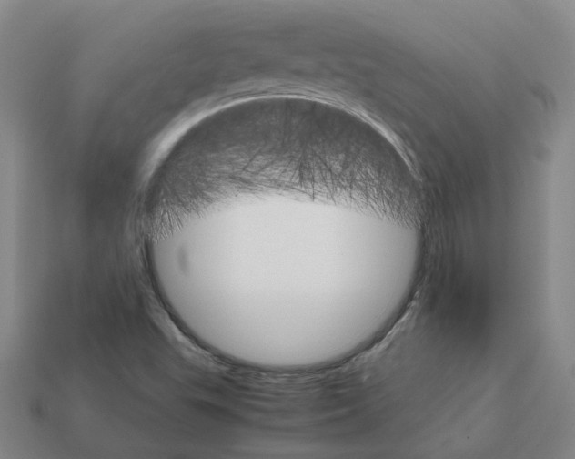 X0000111901503200909071125