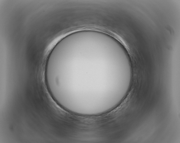 X0000111901504200909071125