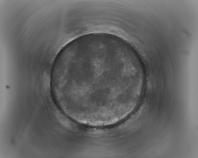 X0000111901505200909071125