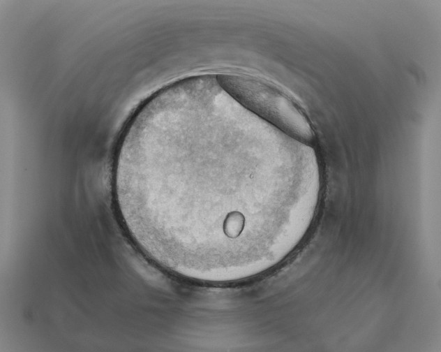 X0000111901506200909071125