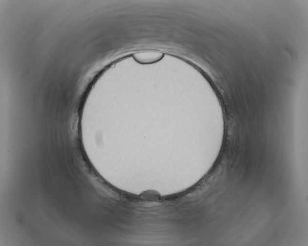 X0000111901507200909071125