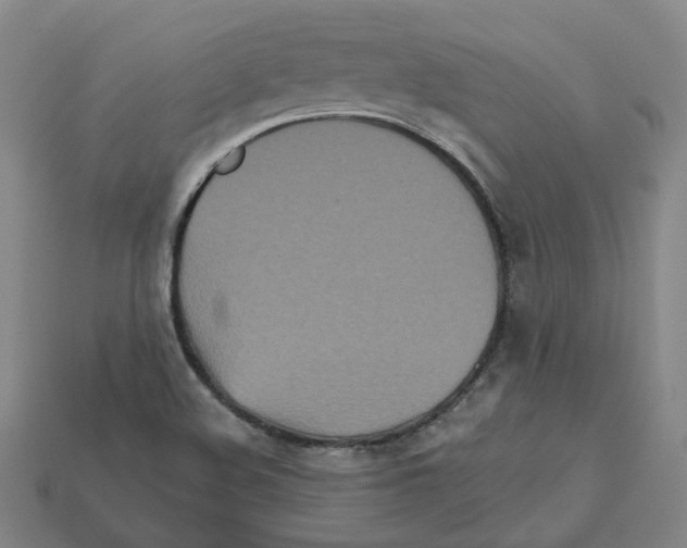 X0000111901508200909071125