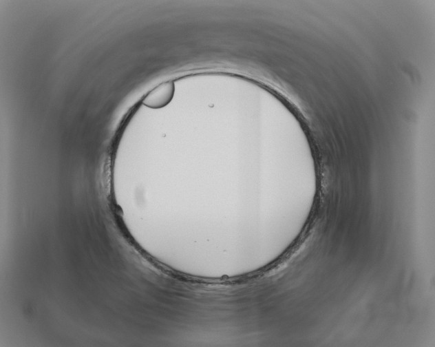 X0000111901510200909071125