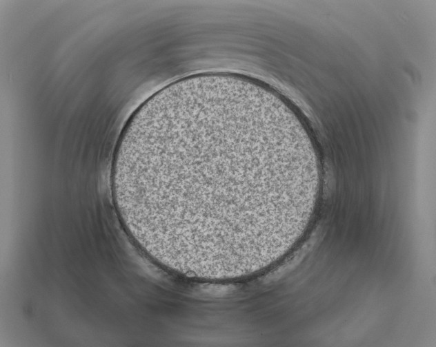 X0000111901513200909071125