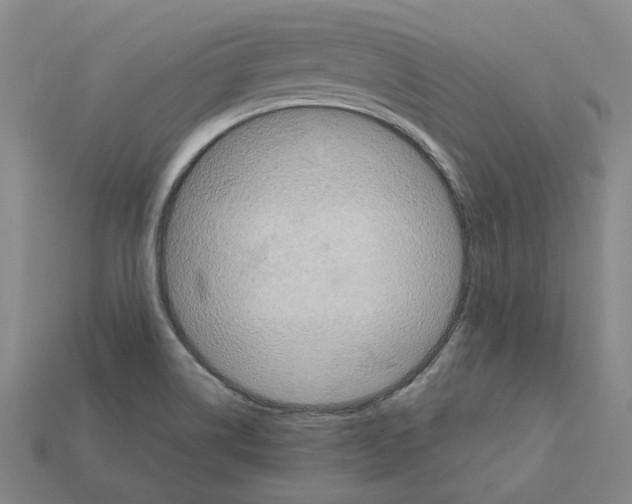 X0000111901514200909071125