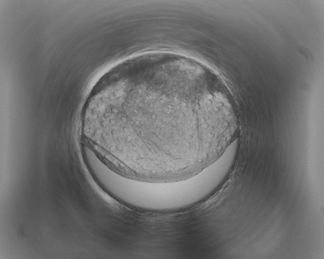 X0000111901519200909071126