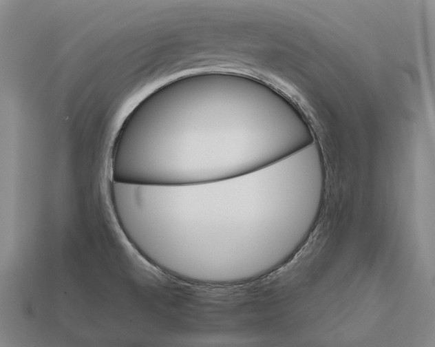 X0000111901520200909071126