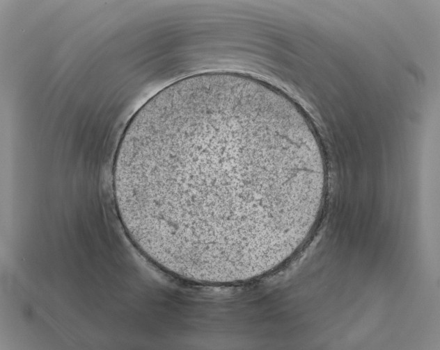 X0000111901521200909071126