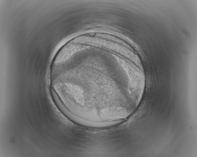 X0000111901522200909071126