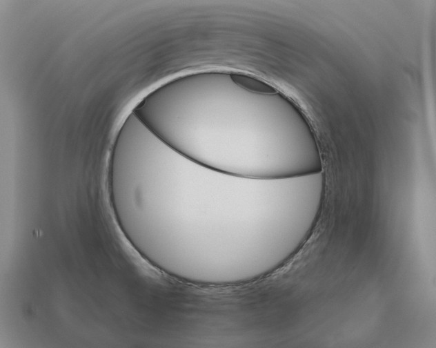 X0000111901524200909071126