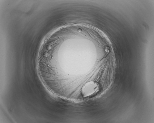 X0000111901525200909071126