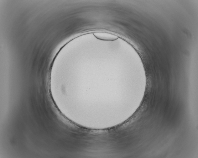 X0000111901526200909071126