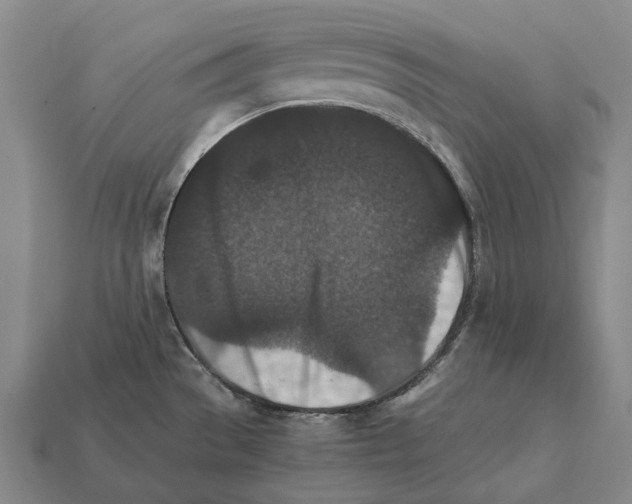 X0000111901529200909071126